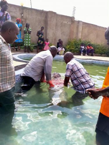 Blessed Baptisms